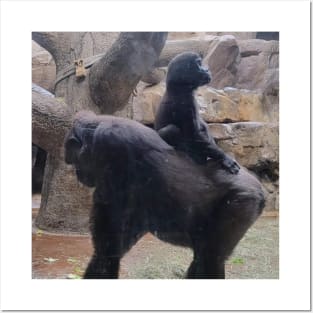 Western Lowland Gorilla and baby Posters and Art